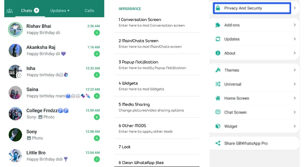 OG WhatsApp APK Messaging and Theme Features